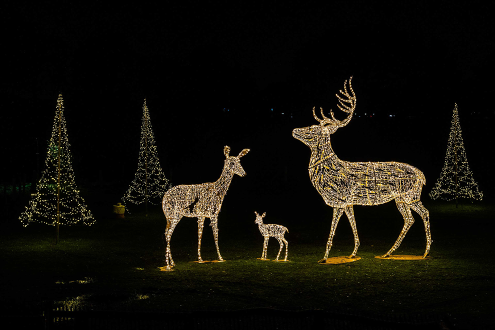 Leuchtende Rehgruppe auf dem Weihnachtsmarkt im Tierpark Nordhorn.