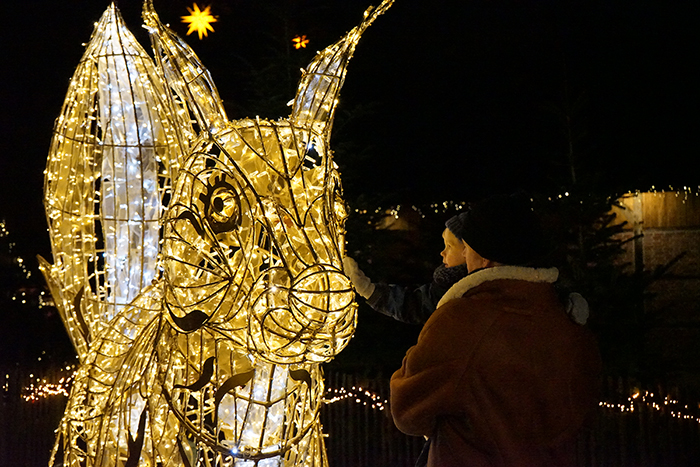 Leuchtfiguren - Weihnachtsmarkt Tierpark Nordhorn